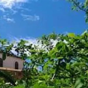 Il Gelsomino Holiday Casa vacanze
